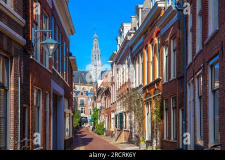 Frankestraat, Haarlem, Olanda settentrionale, Paesi Bassi, Foto Stock