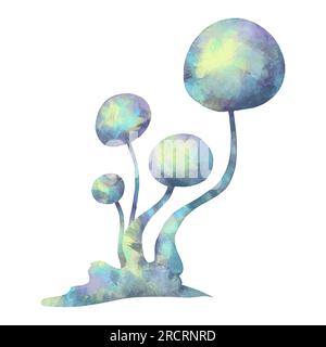 Muffa e microrganismi. Primo piano dei funghi microscopici. Per la stampa di enciclopedie, libri di testo e ausili medici. Illustrazione per la progettazione e la stampa di siti Web. Illustrazione di alta qualità Foto Stock