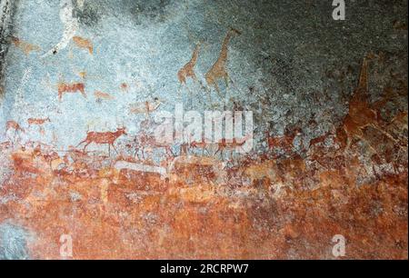 Boscimani animali preistorici dell'età della pietra intagliano nella grotta Matobo Hills, Zimbabwe Foto Stock