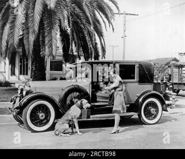 Hollywood, California: 1927. L'attrice Martha Sleeper e i suoi cani si preparano a fare un viaggio con la sua auto Lincoln. Foto Stock