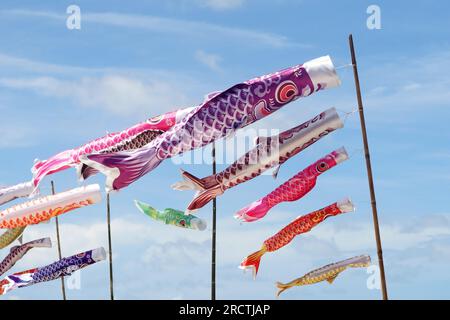 carp streamer, bandiera giapponese di carpa koi con splendido sfondo del cielo Foto Stock
