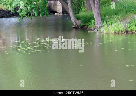 Il fiume Fiskars scorre attraverso il villaggio di Fiskars. Il villaggio è stato fondato nel XVII secolo, nella regione occidentale di Uusimaa, nella Finlandia meridionale Foto Stock