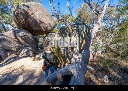 Granite Arch, Girraween National Park, Granite Belt Queensland Foto Stock