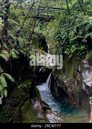 La splendida foresta pluviale del Costa Rica, le cascate e il fiume blu nel mezzo della giungla Foto Stock