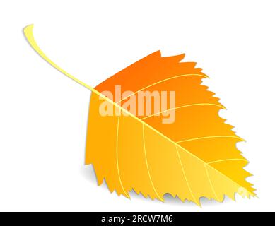 Foglia d'arancio autunnale, dettagliata, primo piano, foglia di betulla isolata su sfondo bianco o trasparente con ombra Illustrazione Vettoriale