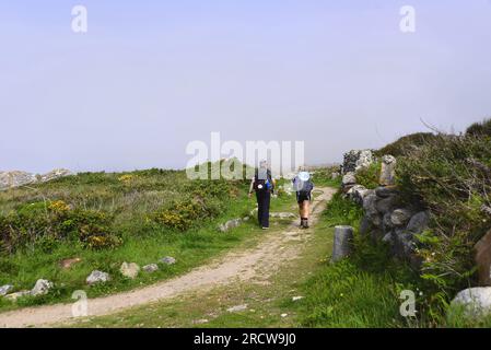 Due pellegrini sulla via Santiago de Compostela in Galizia Foto Stock