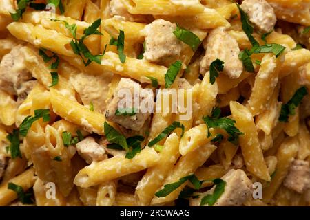 Pasta Alfredo di pollo con una sola pentola fatta in casa, primo piano. Foto Stock