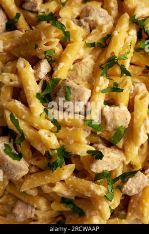 Pasta di pollo Alfredo con prezzemolo fatta in casa, primo piano. Foto Stock