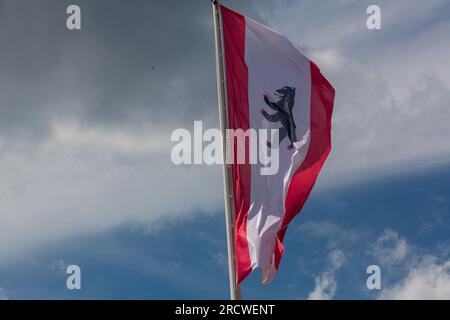 Berlino, Germania. 1 luglio 2023. La bandiera della capitale tedesca Berlino vola sopra un albero. La bandiera di Berlino ha un'ampia striscia bianca al centro e due strette strisce rosse ai lati e mostra l'orso di Berlino come uno stemma. Credito: Fernando Gutierrez-Juarez/dpa/Alamy Live News Foto Stock