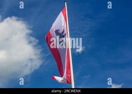 Berlino, Germania. 1 luglio 2023. La bandiera della capitale tedesca Berlino vola sopra un albero. La bandiera di Berlino ha un'ampia striscia bianca al centro e due strette strisce rosse ai lati e mostra l'orso di Berlino come uno stemma. Credito: Fernando Gutierrez-Juarez/dpa/Alamy Live News Foto Stock