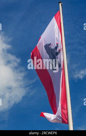 Berlino, Germania. 1 luglio 2023. La bandiera della capitale tedesca Berlino vola sopra un albero. La bandiera di Berlino ha un'ampia striscia bianca al centro e due strette strisce rosse ai lati e mostra l'orso di Berlino come uno stemma. Credito: Fernando Gutierrez-Juarez/dpa/Alamy Live News Foto Stock