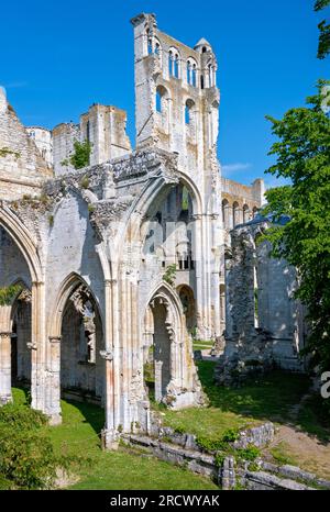 Parte delle rovine dell'ex abbazia benedettina Jumieges in Normandia, Francia Foto Stock