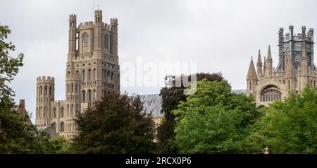 Cattedrale di Ely con alberi in primo piano Foto Stock