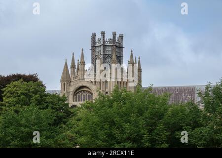 Cattedrale di Ely con alberi in primo piano Foto Stock