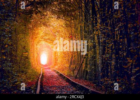 Tunnel degli alberi d'autunno con vecchia ferrovia - Tunnel of Love. Tunnel naturale d'amore formato dagli alberi. Ucraina, Europa Foto Stock