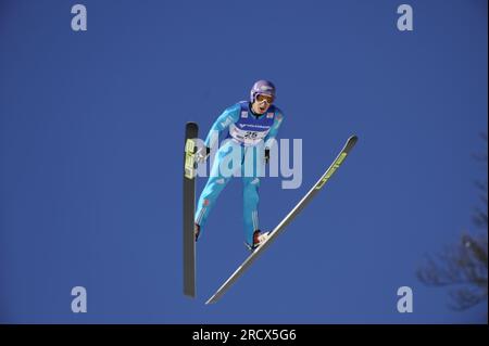 Martin SCHMITT Aktion Skispringen Welt Cup 30.1.2011 a Willingen Foto Stock