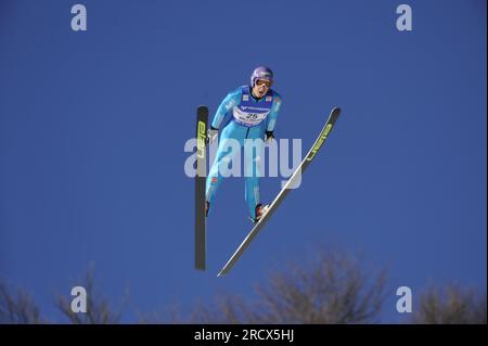Martin SCHMITT Aktion Skispringen Welt Cup 30.1.2011 a Willingen Foto Stock