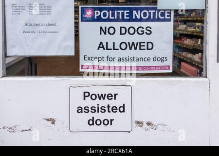 Cartello "non sono ammessi cani" sulla porta d'ingresso della farmacia, Tetbury, Gloucestershire, Regno Unito Foto Stock