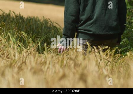 Immagini di persone con cappuccio che camminano attraverso i campi e sotto uno stretto ponte. Foto Stock