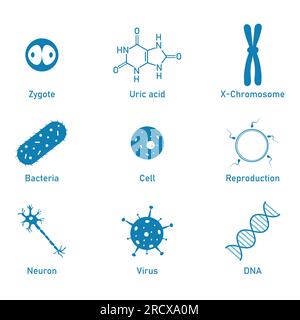 Icona della biologia. Acido urico, batteri, cellule, neuroni, virus, DNA, riproduzione e simbolo zigote. Risorse biologiche per insegnanti e studenti. Illustrazione Vettoriale