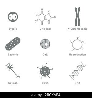 Icona della biologia. Acido urico, batteri, cellule, neuroni, virus, DNA, riproduzione e simbolo zigote. Risorse biologiche per insegnanti e studenti. Illustrazione Vettoriale