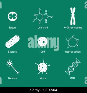 Icona della biologia. Acido urico, batteri, cellule, neuroni, virus, DNA, riproduzione e simbolo zigote. Risorse biologiche per insegnanti e studenti. Illustrazione Vettoriale