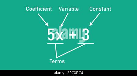 Espressioni algebriche parti in matematica. Coefficiente, variabile, costante e termini. Parti di un'espressione. Risorse matematiche per gli insegnanti. Illustrazione Vettoriale