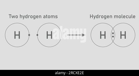 Legame covalente della molecola di idrogeno. Due atomi di idrogeno e molecola di idrogeno. Illustrazione vettoriale isolata su sfondo grigio. Illustrazione Vettoriale