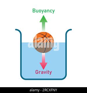 Esperimenti di principio di Archimede e forza galleggiante. Galleggiamento positivo negativo e neutro. Illustrazione vettoriale scientifica isolata su backgroun bianco Illustrazione Vettoriale