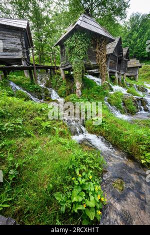 Vecchi mulini ad acqua in legno al Parco Pliva sul bordo del Lago Pliva vicino a Jajce, nella Bosnia Erzegovina centrale, nella penisola balcanica, nell'Europa orientale. Foto Stock