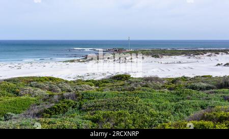 La vegetazione della costa della spiaggia si affaccia sulla pittoresca fabbrica di gamberi dell'oceano Atlantico a Witsands Misty Cliffs Cape Point città del Capo. Foto Stock