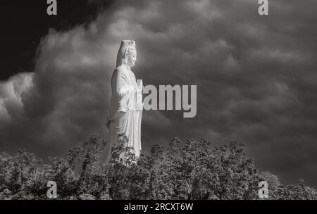 La statua di Avalokitesvara Bodhisattva nella pagoda buddista Ling Ung Bai Buc a Son tra, Danang, Vietnam. La pagoda fu costruita tra il 2004-10 e il ettaro Foto Stock