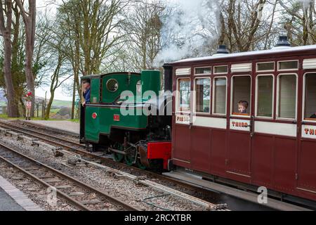 Treno a vapore alla stazione di Woody Bay sulla Lynton and Barnstaple Railway, Devon, Regno Unito: La locomotiva è "Axe", una classe Joffre costruita Stoke-on-Trent nel 1915 Foto Stock