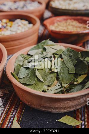 Varie spezie essiccate, cereali andini e cereali in piccoli recipienti ed erbe crude, pagamento pachamama. Foto Stock