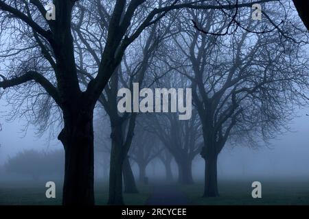 Una fitta nebbia avvolge un parco a Ilford, nella zona est di Londra, al mattino. Foto Stock