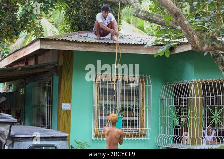 Lipa, Filippine. 17 luglio 2023 : i raccoglitori di frutta raccolgono i rambutan tra due cicloni. Il ciclone tropicale Dodong ha appena causato danni, ma il nuovo tifone Egay si sta già formando. Jayce Manalo, fornitore di frutta, spiega:'a causa del cambiamento climatico, ogni tempesta distrugge i nostri frutti che diventano imvendibili. Quindi, anche se molti rambutan non sono ancora maturi, raccogliamo in case quante più possibile prima della prossima tempesta”. L'arcipelago sta ancora vivendo il monsone sudoccidentale (habagat). Nel 2022/2023, il prezzo medio di produzione del rambutan è il più alto mai registrato qui. Crediti: Kevin Izorce/Alamy Live News Foto Stock