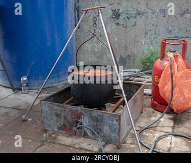 Zuppa di pesce d'acqua dolce appena cucinata in un piatto di pesce all'aperto sulla riva del Danubio Foto Stock