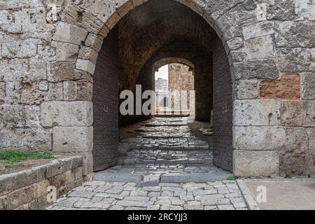 Cittadella di Tripoli (Cittadella di Raymond de Saint-Gilles), Tripoli, Libano Foto Stock