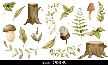 Elementi forestali con funghi, rami, foglie e felce. Illustrazione ad acquerello disegnata a mano di piante verdi boschive su sfondo bianco isolato per biglietti d'auguri o inviti per la doccia dei bambini. Foto Stock