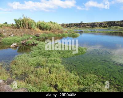 Cabo de Praia quarry, Terceira, Azzorre Foto Stock