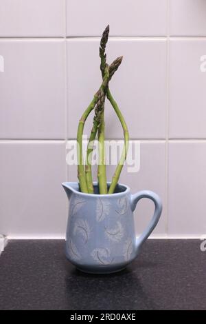 Lancia asparagi appena prelevati in brocca blu di acqua fredda sulla superficie di lavoro della cucina Foto Stock