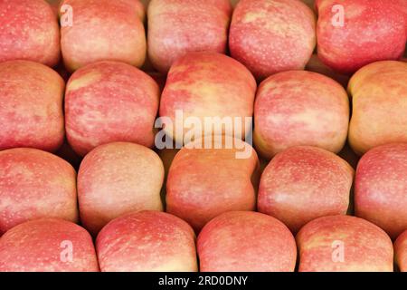 Mele di gala selezionate mature disposte a file in un negozio di alimentari in vendita. Sfondo colorato di mele rosse fresche. Foto Stock