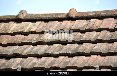 Sul tetto della casa si trova una vecchia piastrella di ceramica rossa Foto Stock