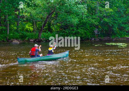 Coppia che lascia la riva per una pagaia sul lago Sparrow nel distretto di Muskoka, Ontario, Canada Foto Stock