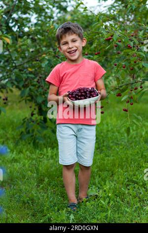 bambino in età prescolare che tiene un grande piatto con ciliegie rosse mature raccolte dall'albero nel giardino della casa. Ritratto di un bambino felice sullo sfondo del ciliegio. H Foto Stock