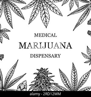 Design quadrato cannabis per packaging, post sui social media, decorazione di negozi, branding, certificati. Illustrazione vettoriale di marijuana in stile schizzo. Orlo Illustrazione Vettoriale