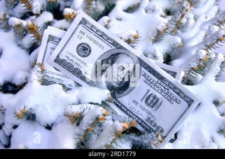 Pila di 100 fatture del dollaro lay mezzo sepolto nella neve. Immagine potrebbe rappresentare 'freddo contanti' e 'asset congelati". Foto Stock