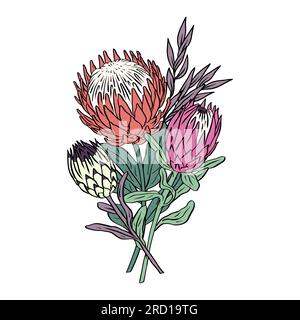 Colorato bouquet tropicale di fiori e foglie di protea Illustrazione Vettoriale