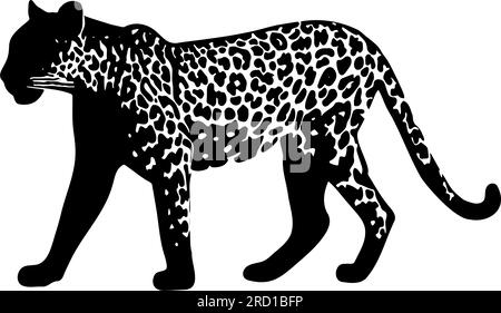 Silhouette Jaguar isolata su sfondo bianco. Illustrazione vettoriale Illustrazione Vettoriale