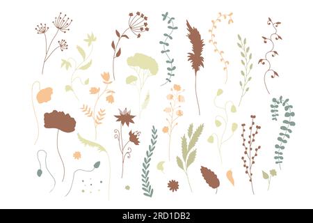 Illustrazioni astratte di fiori selvatici disegnate a mano set isolato su sfondo bianco Illustrazione Vettoriale